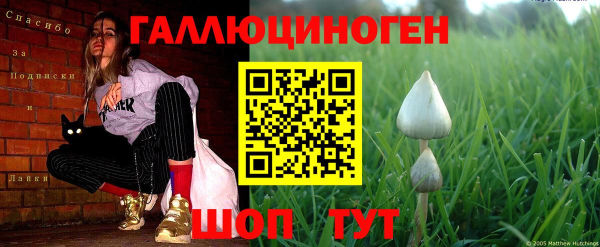 Псилоцибиновые грибы Magic Shrooms  Вход с VPN  Кинель 